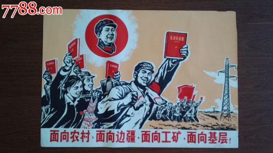 做个假爱尔兰护照扫描件
